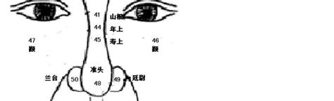 鼻子運勢幾歲|麥玲玲面相講座捌